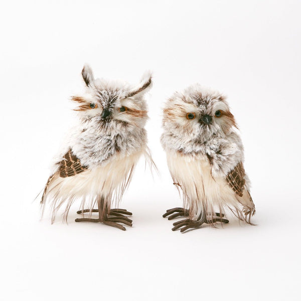 Pair of Tawny Owls - Mrs. Alice