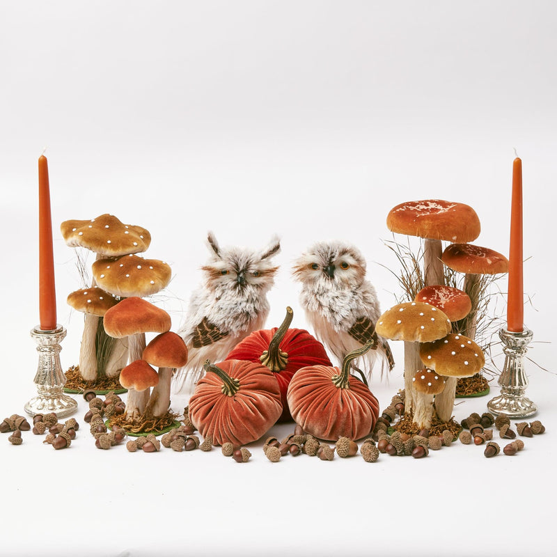A set of three velvet-textured mushrooms in warm caramel shades.