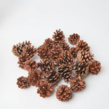 Pinecones and a pochette, a refined decor choice by Mrs. Alice.