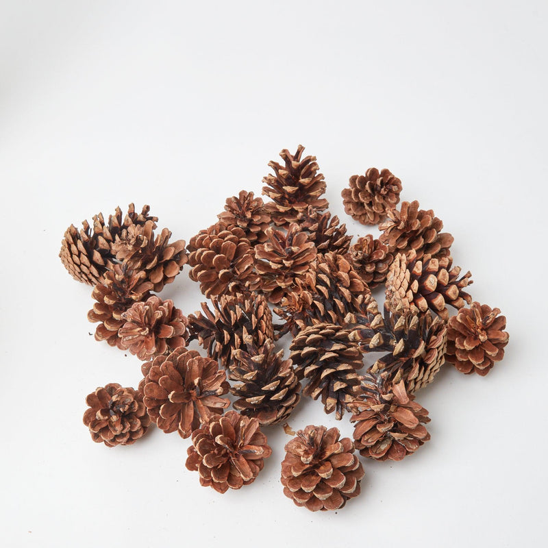 Pinecones and a pochette, a refined decor choice by Mrs. Alice.