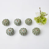 Elevate your seasonal styling with an extended collection of 15 Mini Green Pumpkins.