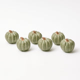 Mini Green Pumpkin (Set of 6) - Mrs. Alice