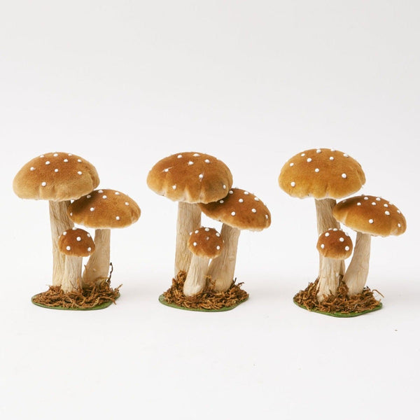 Three small caramel velvet mushrooms arranged in a cluster.